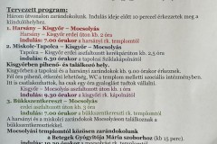Mocsolyas-zarandoklat-reszletek_vagott_res